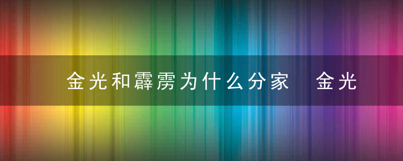 金光和霹雳为什么分家 金光和霹雳的关系 金光与霹雳